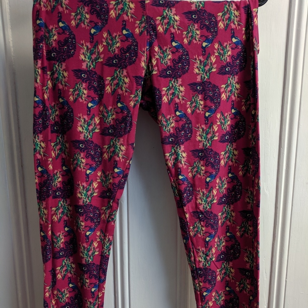 Hot Pink Peacock TC Lularoe Leggings